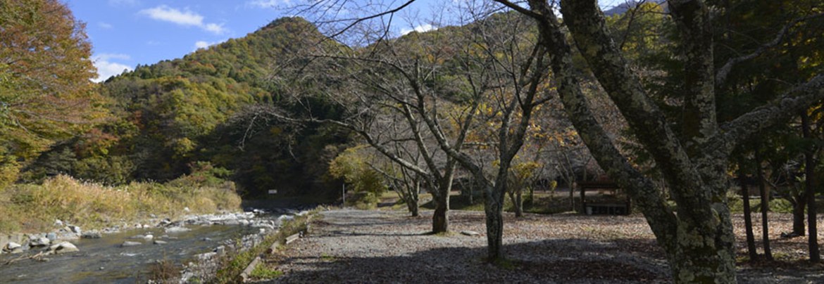 ⑲観光農園キャンプ場